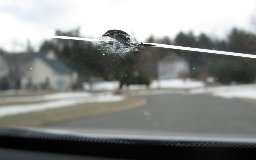 Do Windscreen Repair Kits Work?